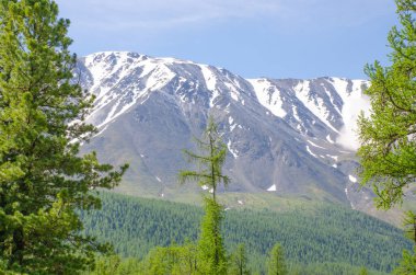 Tayga Dağı Altai Sibirya 'nın tepesinde karlı bir dağ.