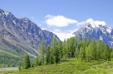 Kuzey Chuya Dağı ve küçük Aktru Nehri Dağı Altai Sibirya