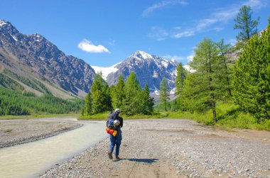 Turist dağlara gider, Aktru Rusya buzulu.