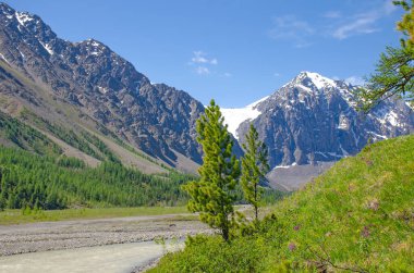 Kuzey Chuya Dağı ve küçük Aktru Nehri Dağı Altai Sibirya