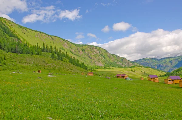 Krásná Krajina Turistické Základny Domy Mezi Horami Altai — Stock fotografie