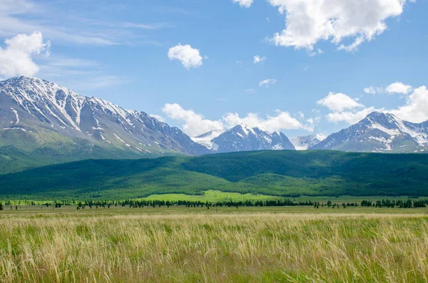 Krásná Krajina Altai Hory North Chui Hřeben — Stock fotografie