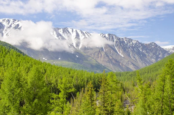 Montaña Con Cima Nieve Entre Una Montaña Taiga Altai Siberia — Foto de Stock