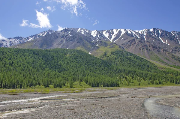 Monte Chuya Norte Cordillera Pequeño Río Aktru Montaña Altai Siberia Fotos De Stock