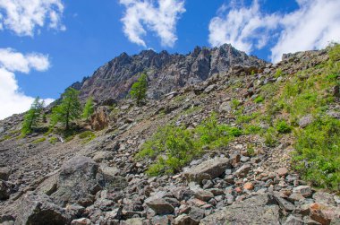 Manzara, dağlara giden bir buzulun üzerindeki Aktr Altai Rusya 'ya gidiyor.