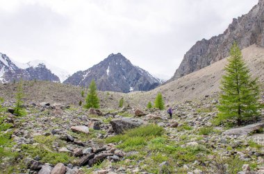 Manzara, dağlara giden bir buzulun üzerindeki Aktr Altai Rusya 'ya gidiyor.