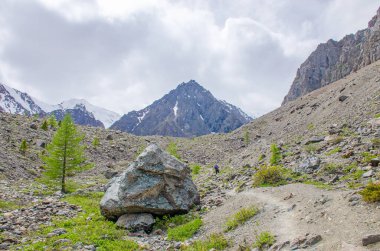 Turist dağlara gider, Aktru Rusya buzulu.