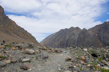 manzara dağları Altai buzulu buzulu Aktru karlı
