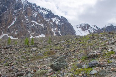 Aktru Rusya 'ya giden Altai Dağı buzulu