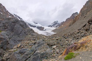 Aktru Rusya 'ya giden Altai Dağı buzulu