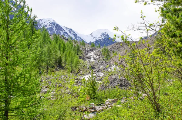 北中央山脈と小さなアクトゥル川の山アルタイシベリア — ストック写真