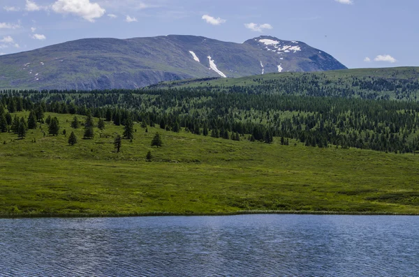 Un paesaggio di montagne, foresta, lago — Foto Stock