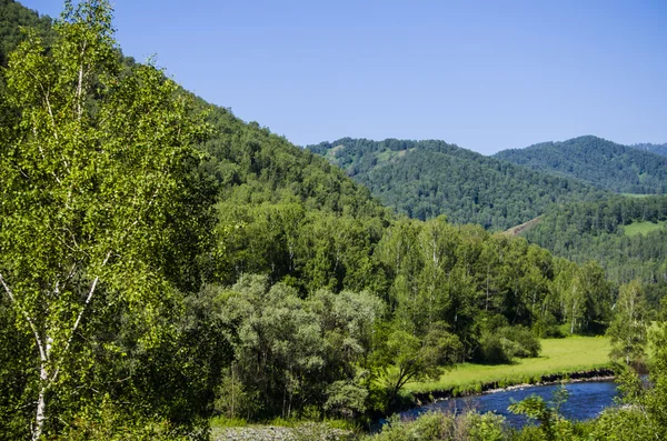 ormanlar, dağlar ve dağ nehir manzara