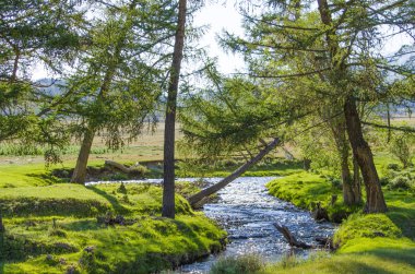 manzara nehir ağaçları bir arka planda dağların arasında