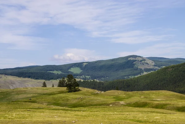 Tajga krajina hory v pozadí — Stock fotografie