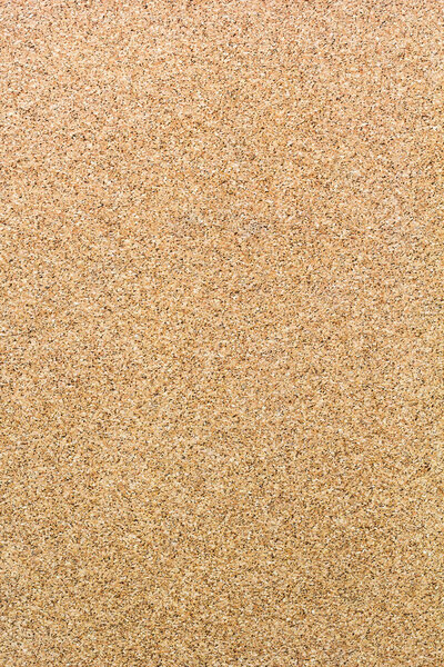 blank cork board close-up,