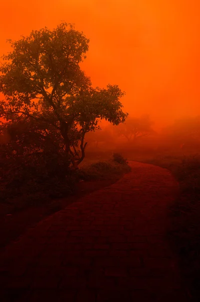 Sera rossa nuvolosa — Foto Stock