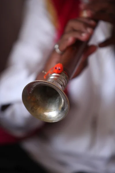 Been Wind Instrument — Stock Photo, Image