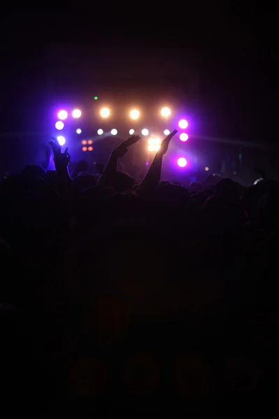 Concert Audience Dancing — Stock Photo, Image