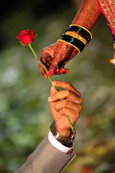 Uno sposo che offre una rosa rossa alla sua sposa — Foto Stock