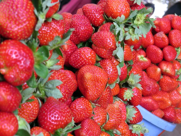 Fraises fraîches de ferme — Photo