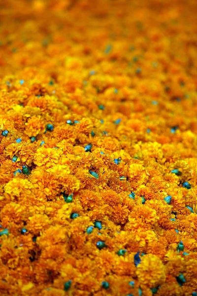 Verkäufer packen Blumen ein — Stockfoto