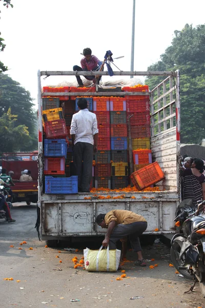 Pune, Ινδία - 21 Οκτωβρίου 2015: Εκφόρτωση Marigold — Φωτογραφία Αρχείου