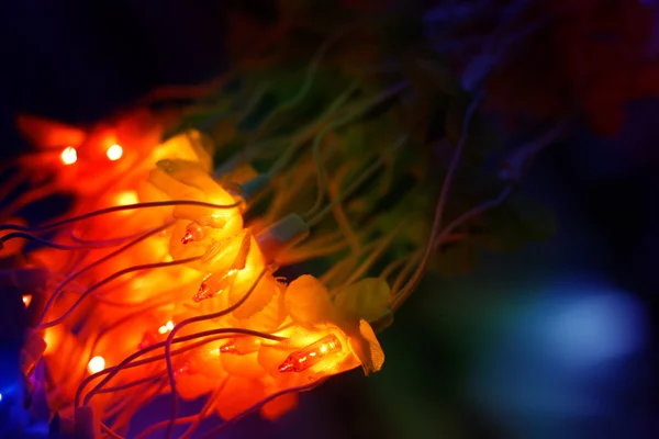 Yellow Lights Flower — Stock Photo, Image