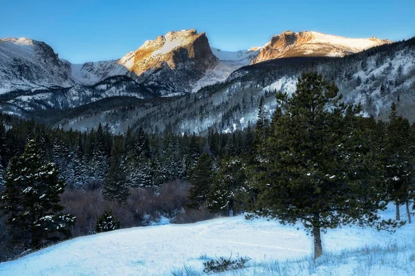 Friss Hótakaró Borítja Földet Hegyek Fák Sziklás Hegység Nemzeti Park — Stock Fotó