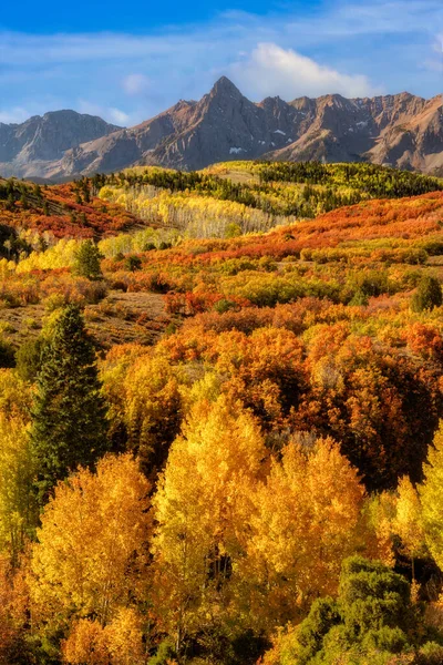 Die Herbstfarben Zieren Den Berghang Der Dallas Divide Der Herbstsaison — Stockfoto