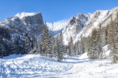 Estes Park Colorado 'daki Rocky Dağı Ulusal Parkı' ndaki Rüya Gölü Yolu boyunca soğuk kış günü