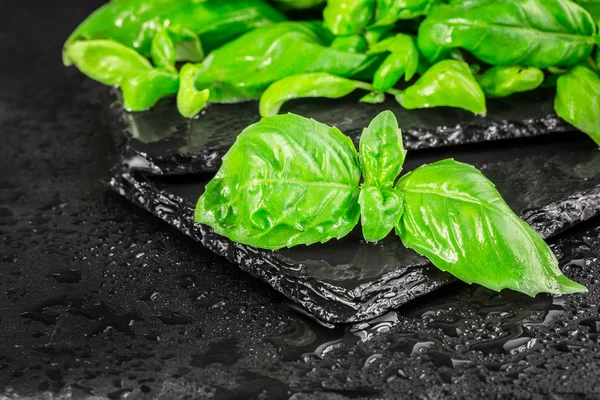 Basil leaves on a black slate — Stock Photo, Image