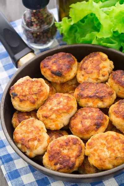 Schnitzels — Stockfoto