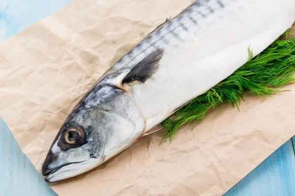 Färsk makrill fyllda med dill — Stockfoto