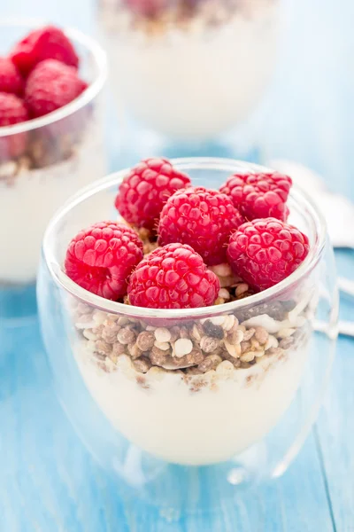 Iogurte com muesli e framboesas frescas — Fotografia de Stock