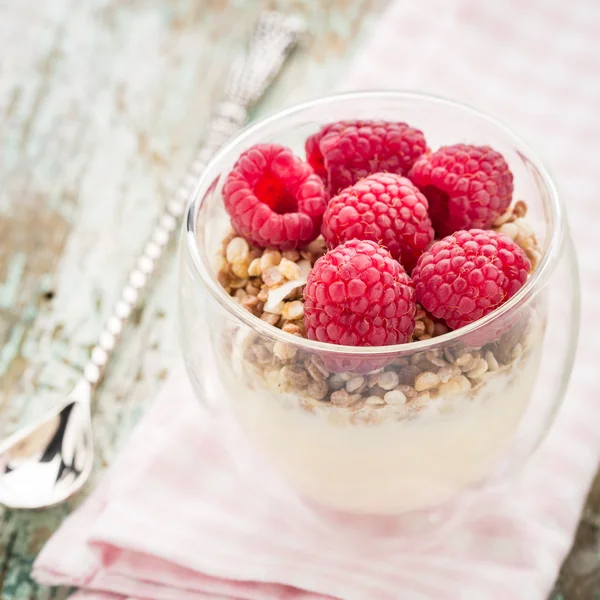 Jogurt z musli i świeżych malin — Zdjęcie stockowe
