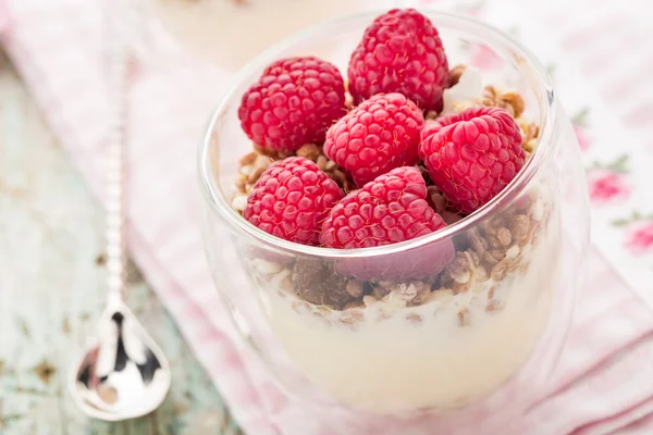 Yogur con muesli y frambuesas frescas — Foto de Stock