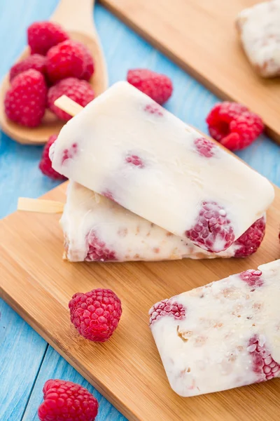 Yogurt congelato con avena e lamponi — Foto Stock