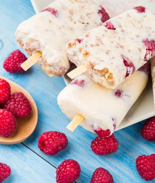 Yogurt congelato con avena e lamponi — Foto Stock