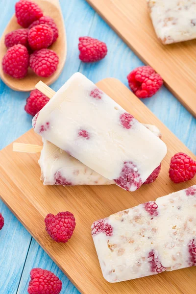 Gefrorener Joghurt mit Hafer und Himbeeren — Stockfoto