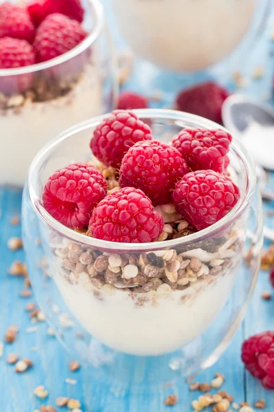 Iogurte com muesli e framboesas frescas — Fotografia de Stock