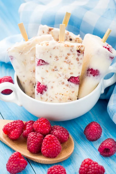 Yogur helado con avena y frambuesas — Foto de Stock