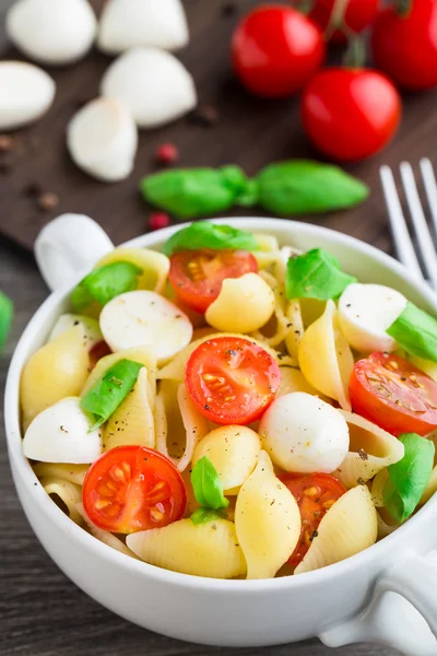 Nudeln mit Mozzarella und Tomaten — Stockfoto