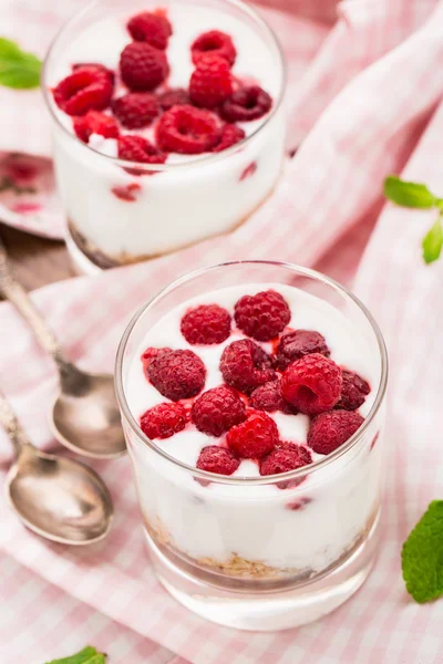 Iogurte com muesli e framboesas — Fotografia de Stock