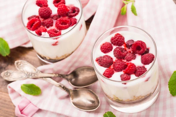 Yogurt con muesli e lamponi — Foto Stock
