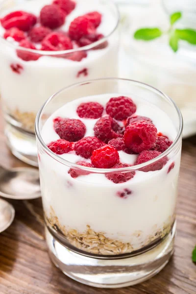 Yogurt con muesli e lamponi — Foto Stock