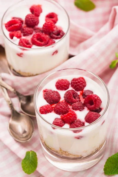 Yogurt with muesli and raspberries — Stock Photo, Image