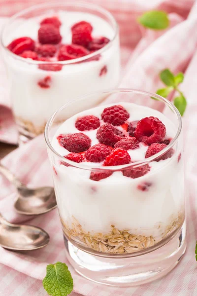 Yogurt con muesli e lamponi — Foto Stock