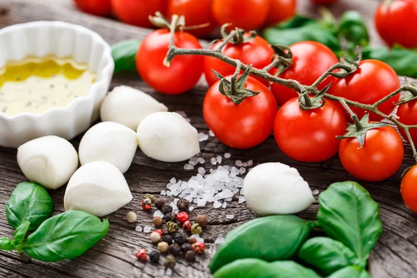 Caprese ingrédients de salade — Photo