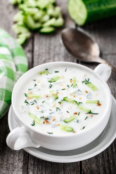 Kalte Suppe mit Gurken, Joghurt und frischen Kräutern — Stockfoto